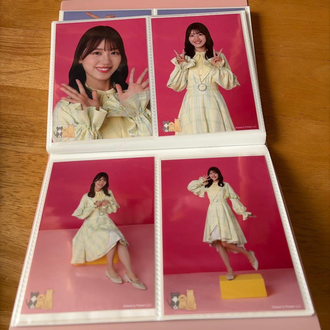 日向坂46 佐々木美玲　生写真　66枚まとめ売り