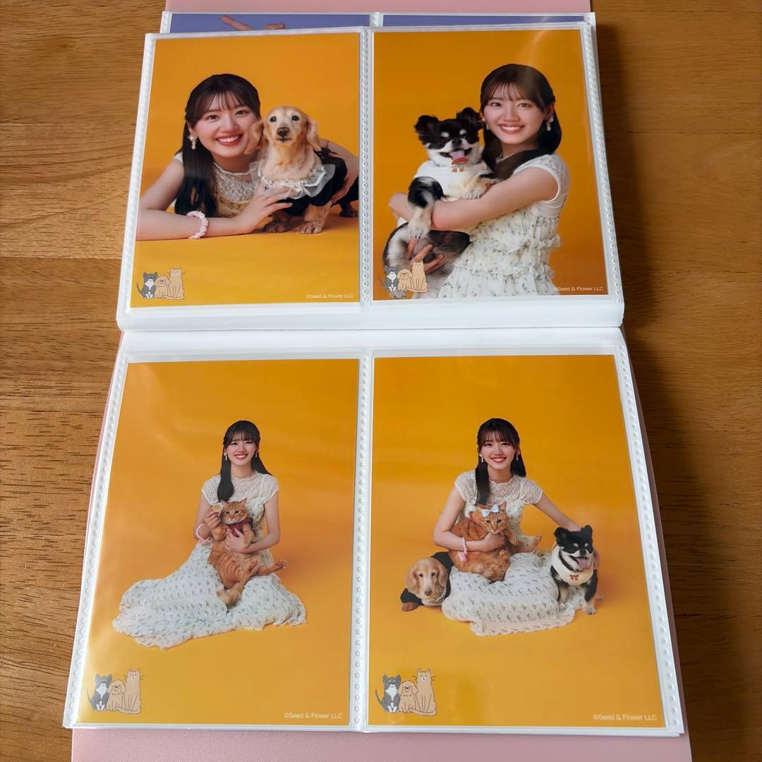 日向坂46 佐々木美玲　生写真　66枚まとめ売り