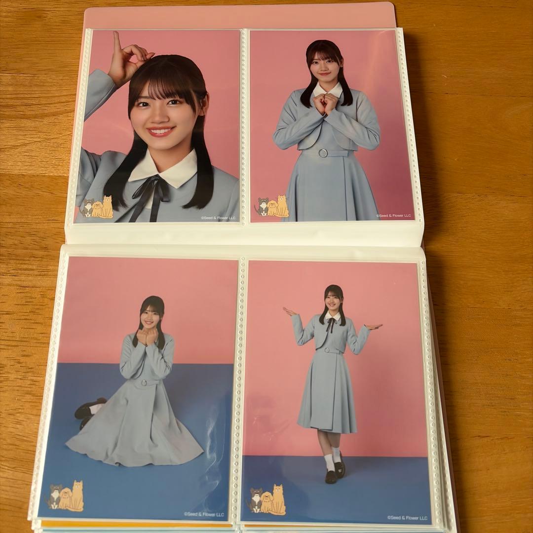 日向坂46 佐々木美玲　生写真　66枚まとめ売り