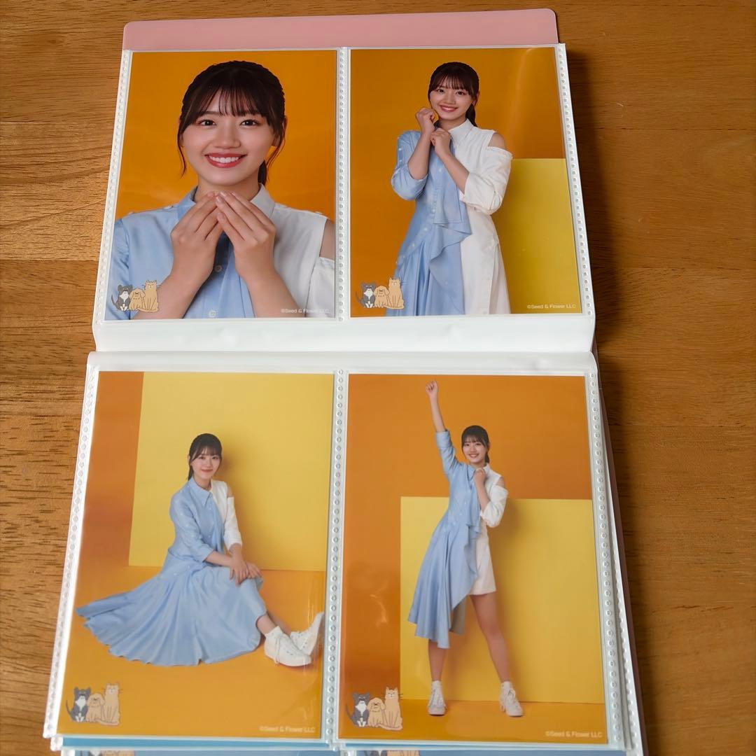 日向坂46 佐々木美玲　生写真　66枚まとめ売り