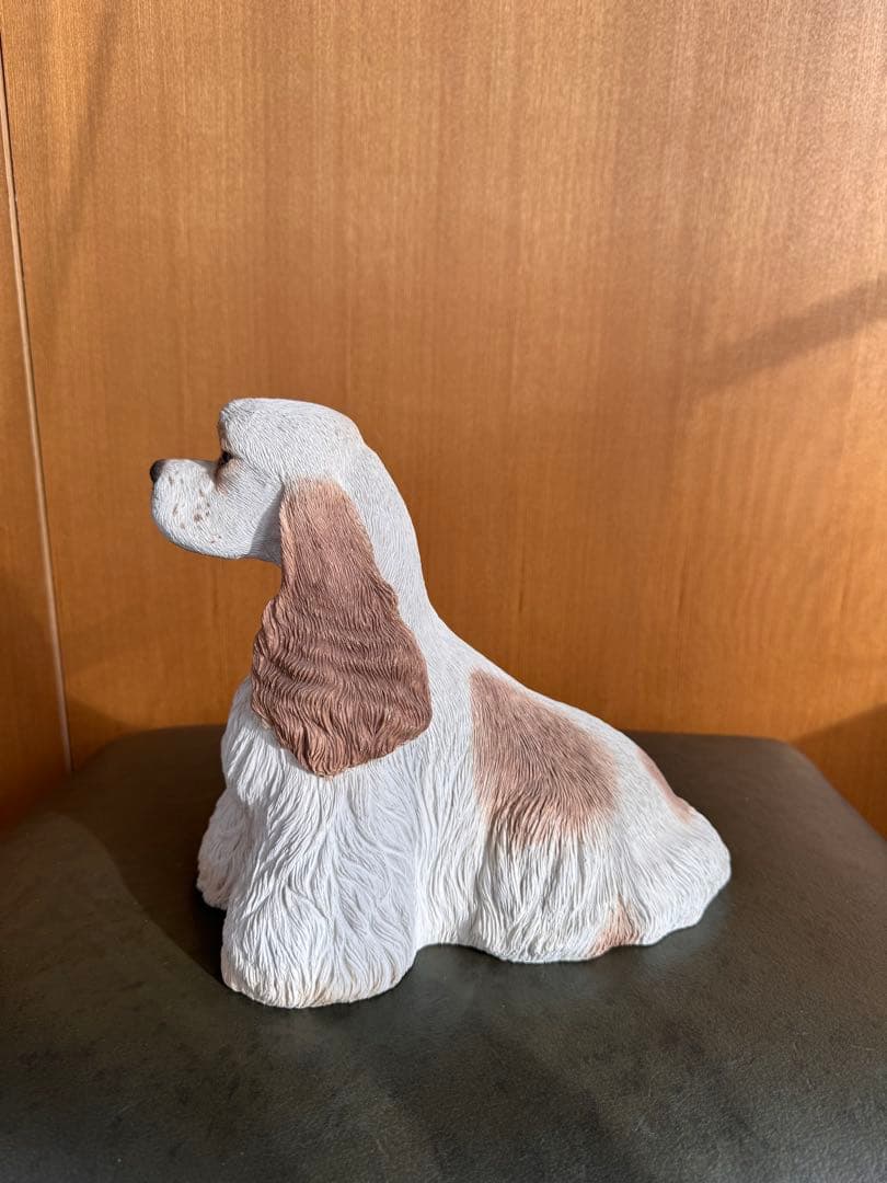 アメリカンコッカースパニエル　パーティ　サンディキャスト