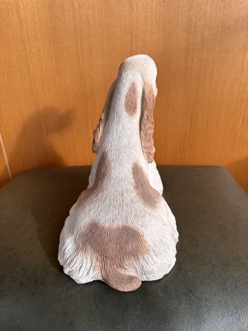 アメリカンコッカースパニエル　パーティ　サンディキャスト