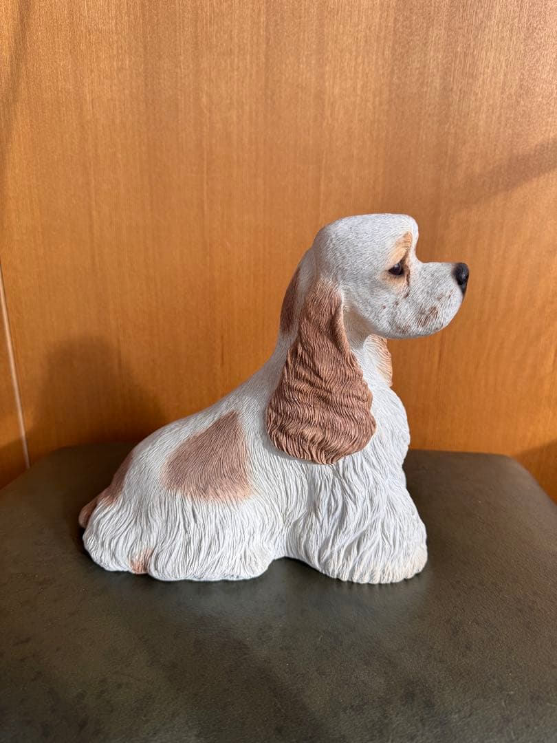 アメリカンコッカースパニエル　パーティ　サンディキャスト