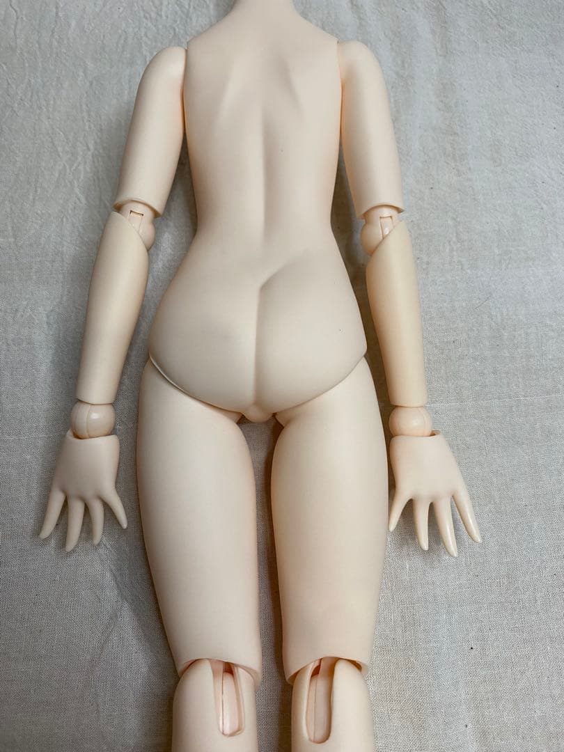 本体のみ