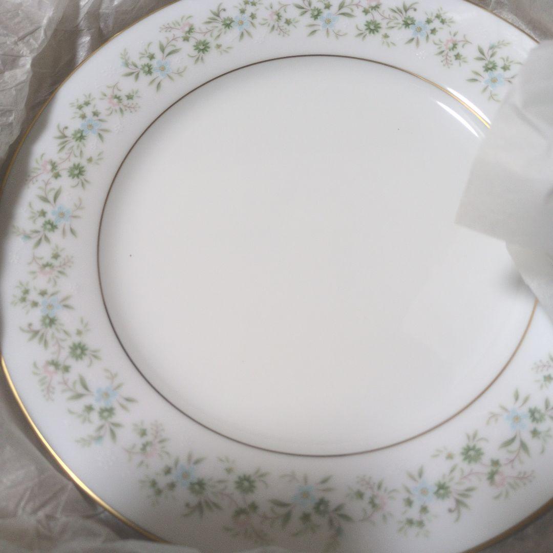 未使用Noritake　お皿サバンナシリーズセット
