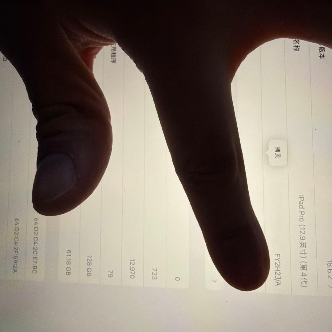 iPad Pro 4世代12.9インチ ( A2229)