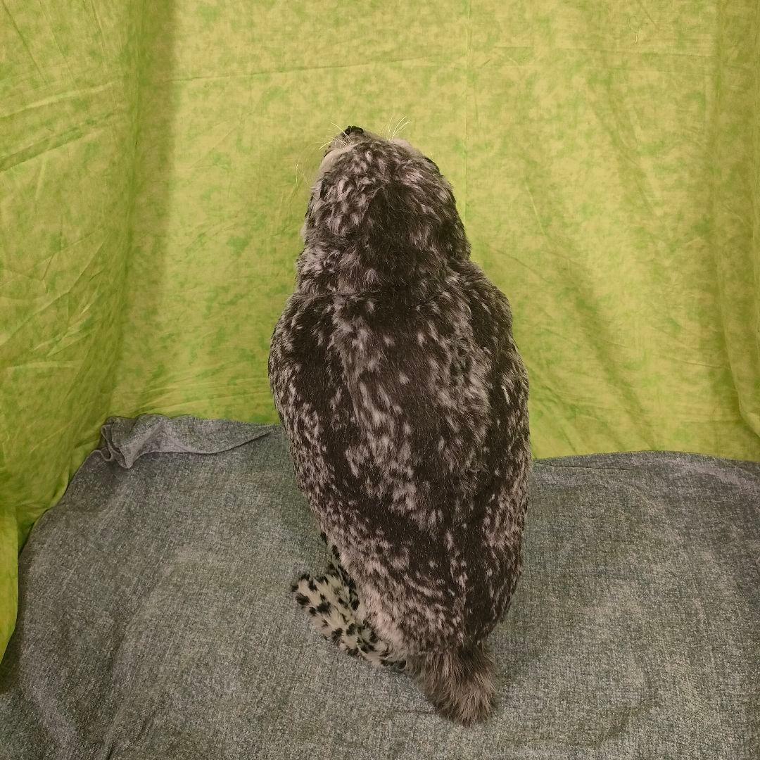 ハンドメイド　ぬいぐるみ　アザラシ　ごま