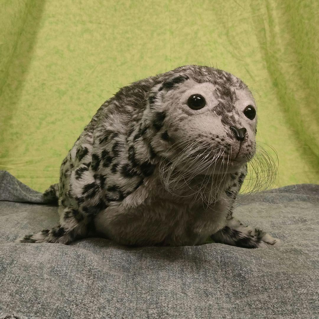 ハンドメイド　ぬいぐるみ　アザラシ　ごま