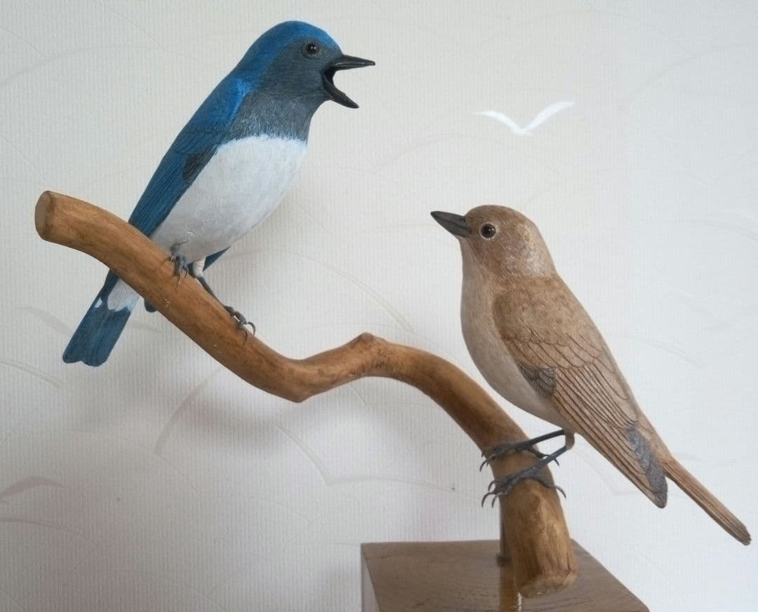 オオルリの求愛