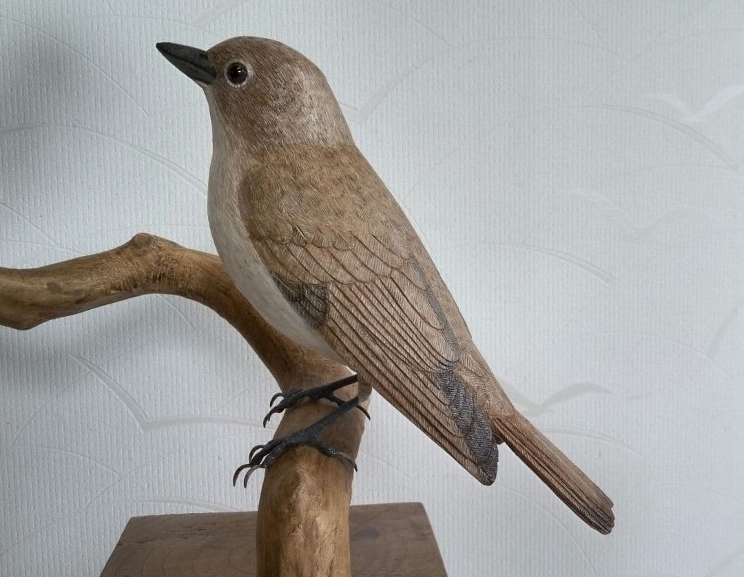 オオルリの求愛