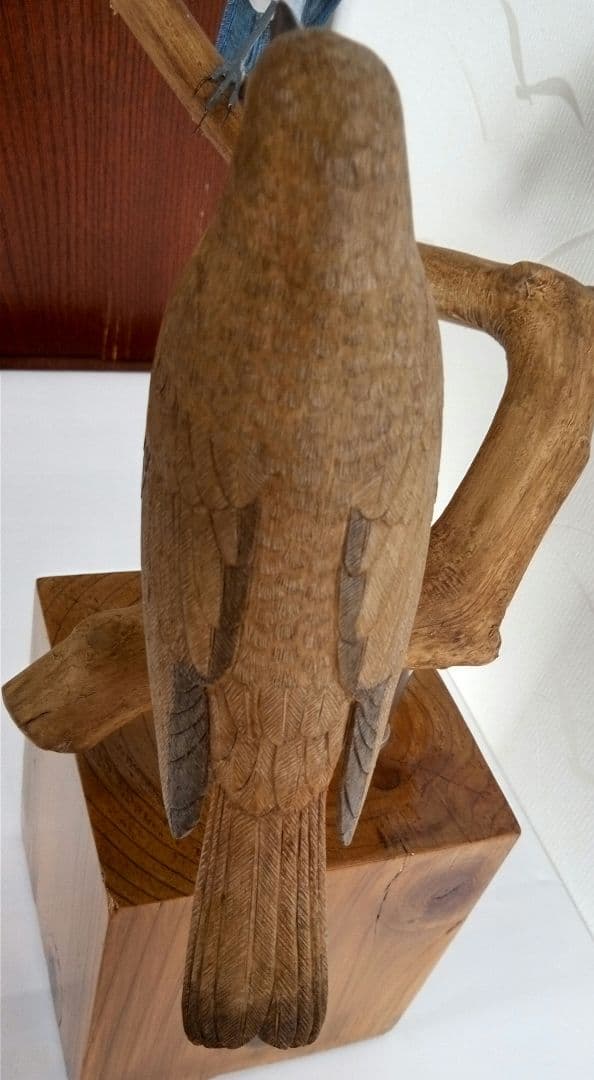 オオルリの求愛