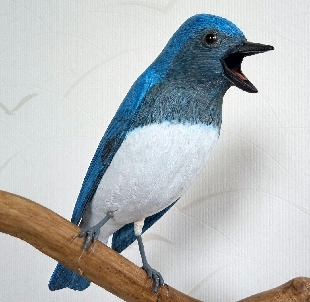 オオルリの求愛