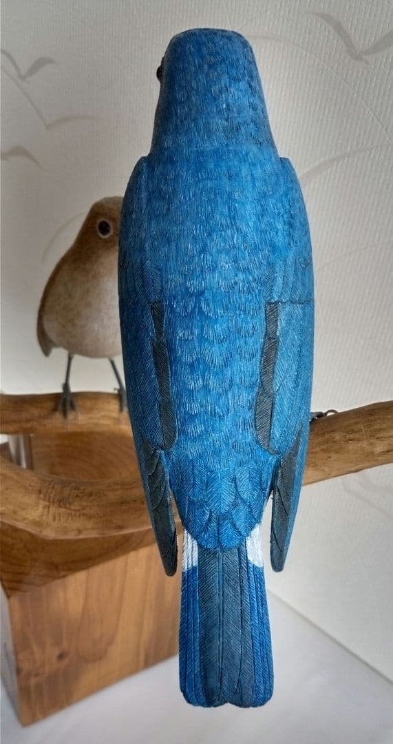 オオルリの求愛