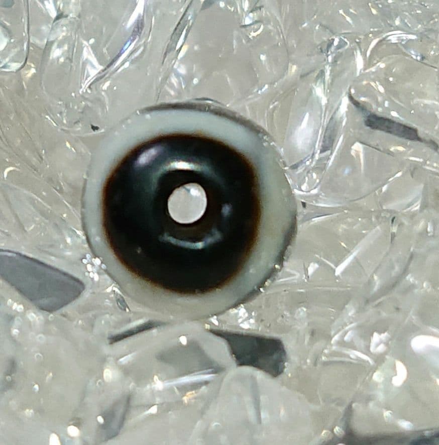 チベットビーズ老天珠 天然石 品名:虎牙三眼天珠