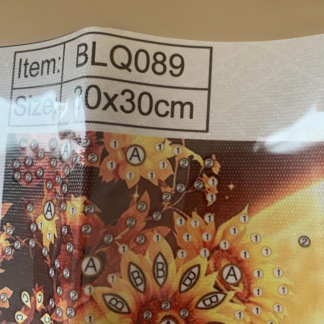 ★専用★ムーンライト　ゴージャスレディ 30cm x 30cm 特殊ビーズ