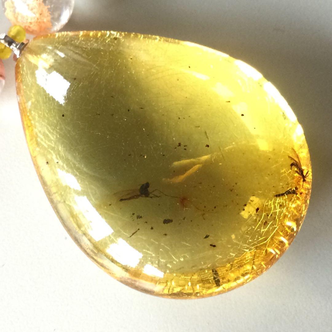 虫入り琥珀ペンダントネックレス