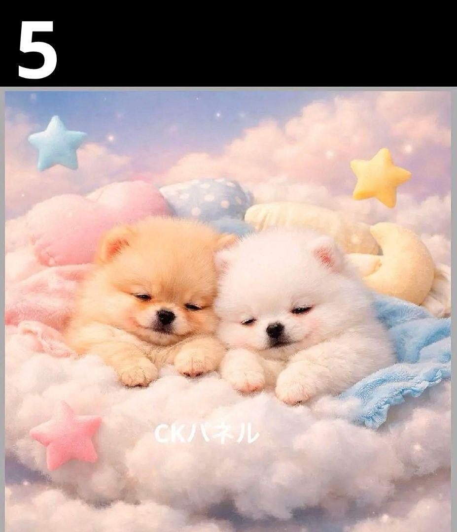 オーダーページ　ハンカチ　428 ポメラニアン柄　ハンドメイド1/25