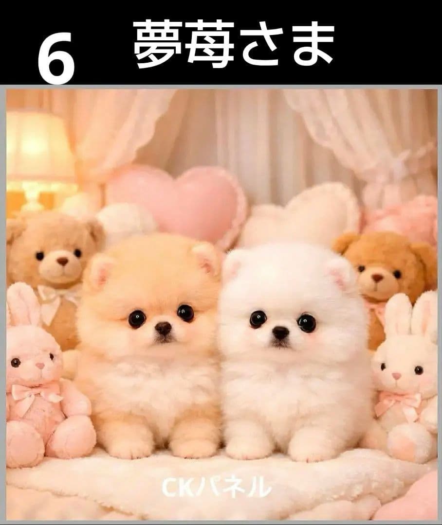 オーダーページ　ハンカチ　428 ポメラニアン柄　ハンドメイド1/25