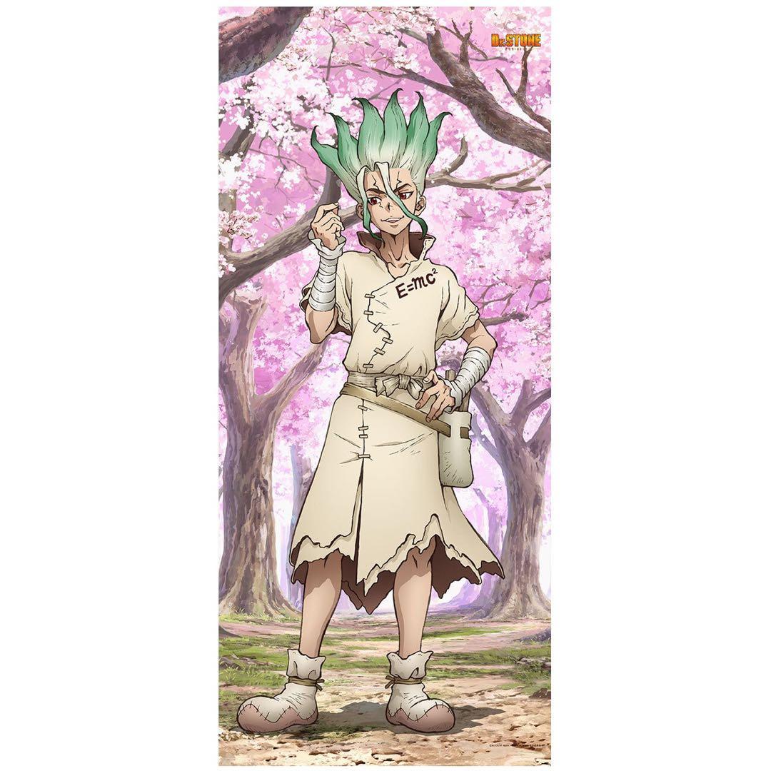 Dr.STONE 千空 ゲン 特大タペストリー