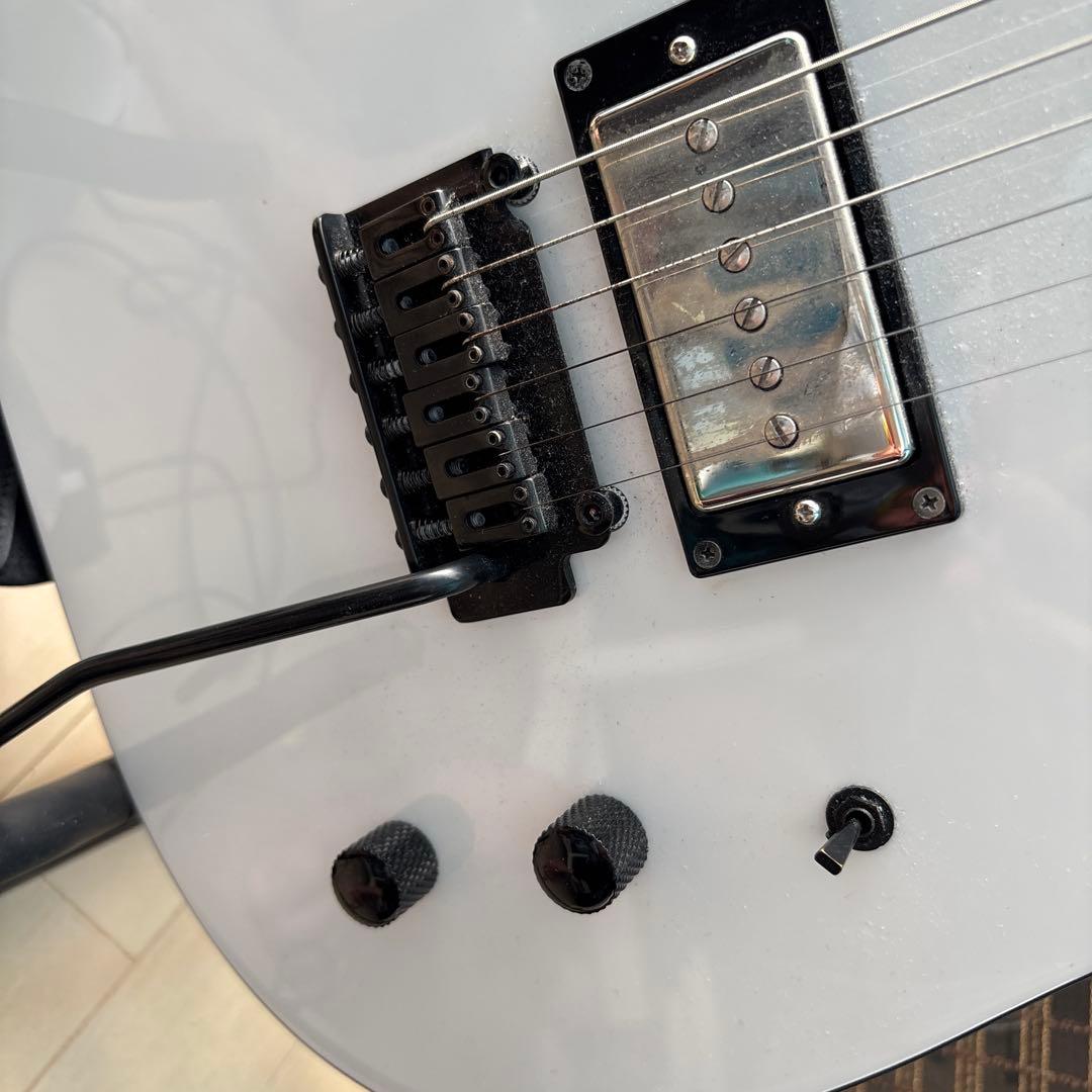 週末限定特価　FERNANDES LIMITED EDITION エレキギター