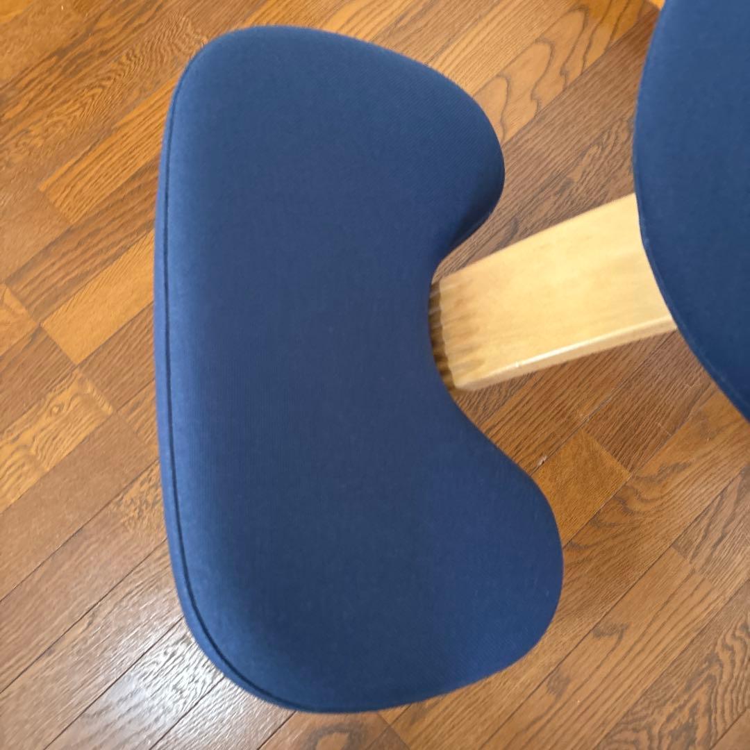 【美品】バランスイージー ネイビー 通常フレーム