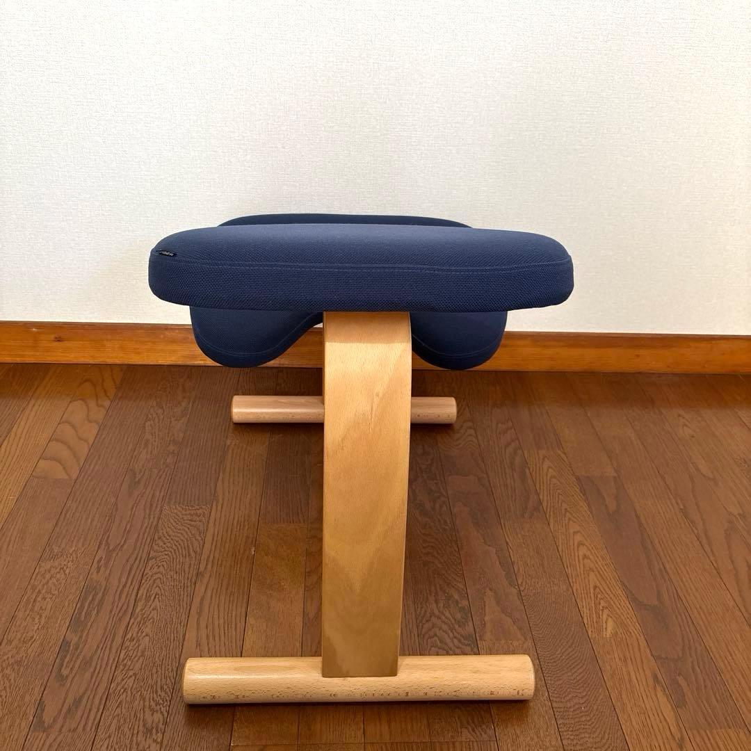 【美品】バランスイージー ネイビー 通常フレーム