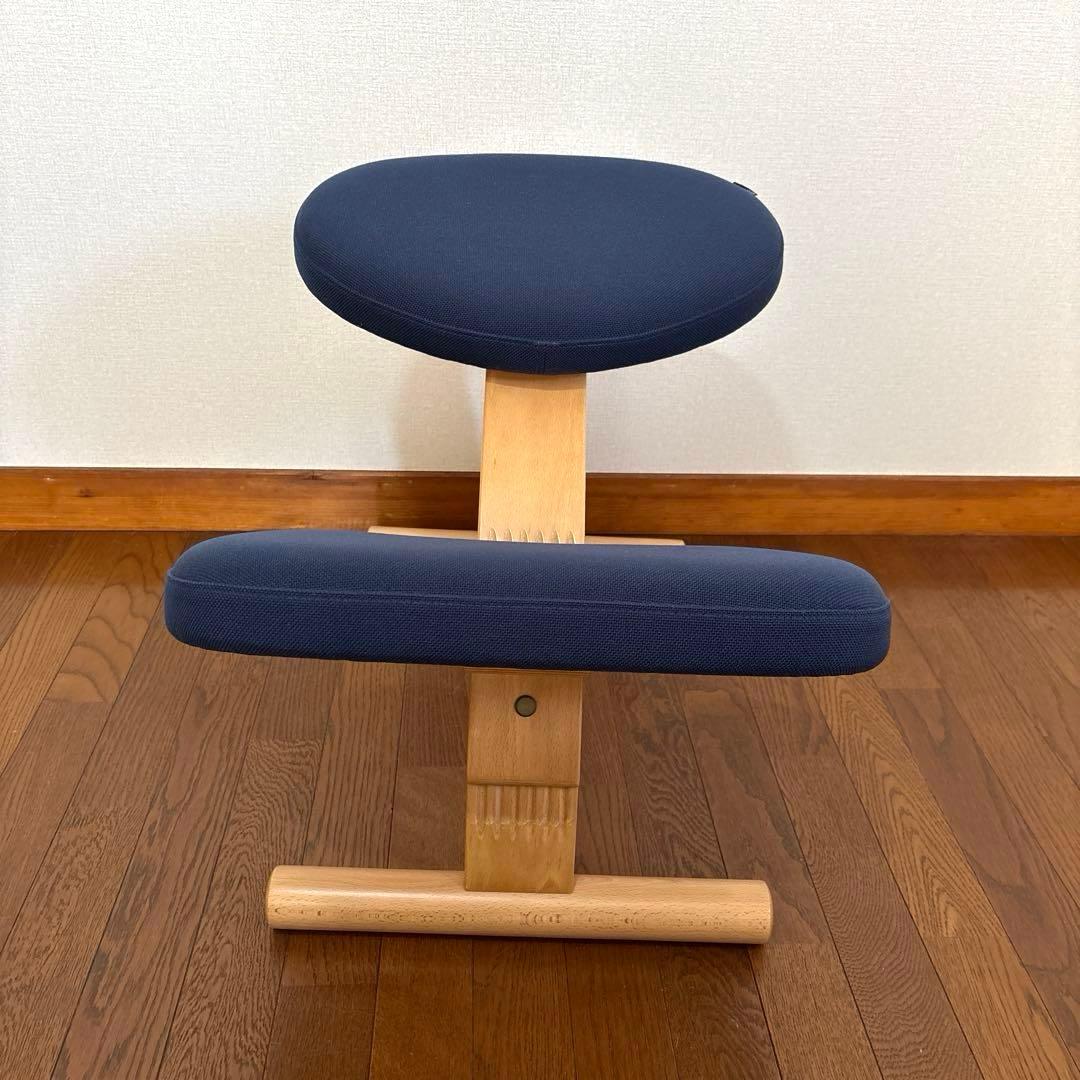 【美品】バランスイージー ネイビー 通常フレーム