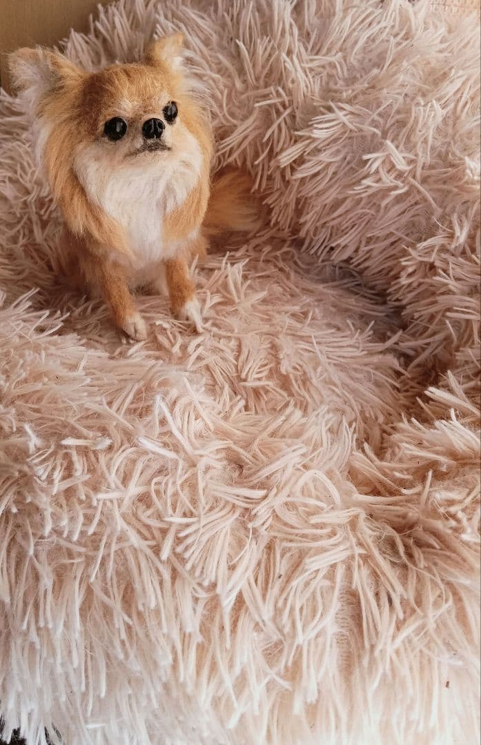 羊毛フェルト ハンドメイド 犬 チワワ