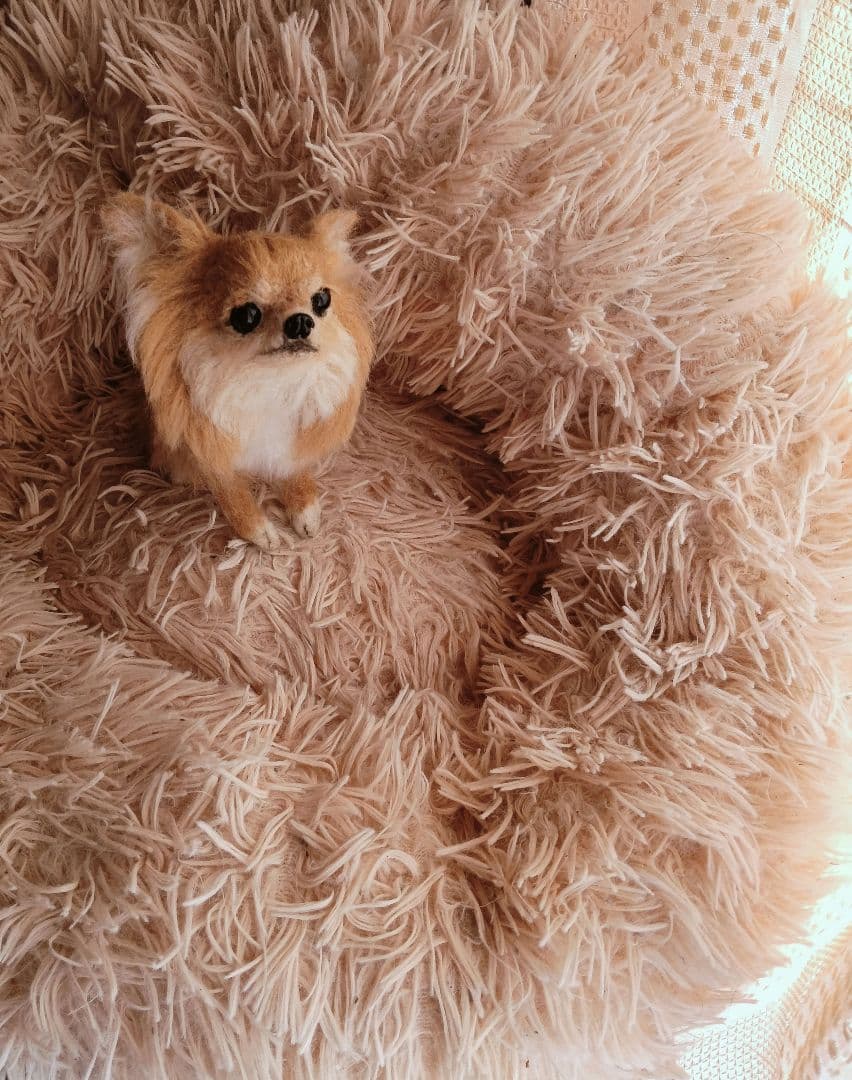 羊毛フェルト ハンドメイド 犬 チワワ