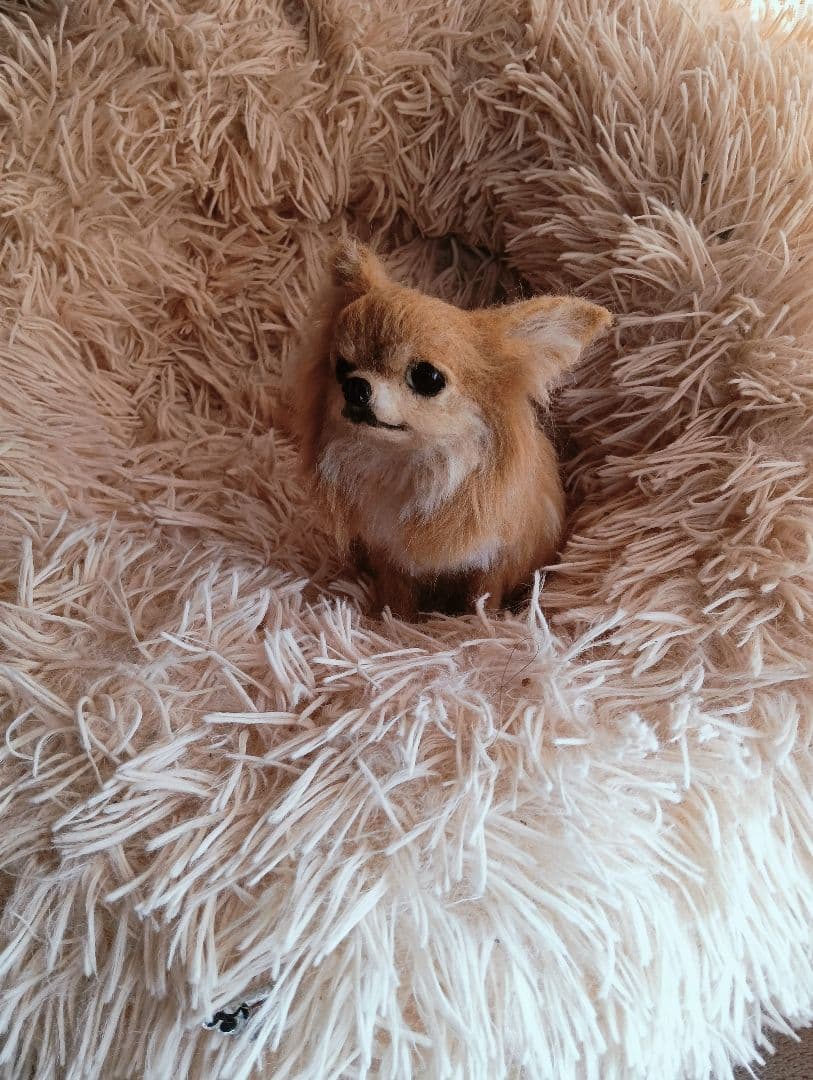 羊毛フェルト ハンドメイド 犬 チワワ