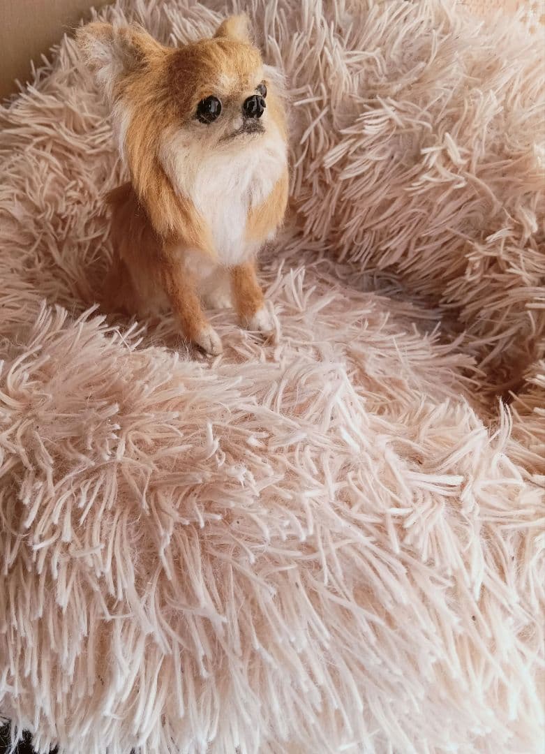 羊毛フェルト ハンドメイド 犬 チワワ