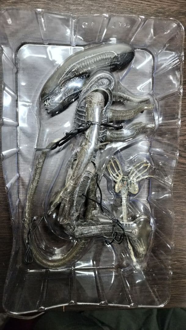 NECA エイリアン ゼノモーフ ギーガーカラー開封品