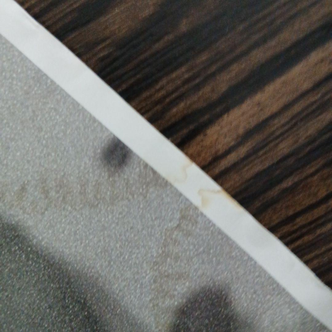 非売品ポスター　Yngwie Malmsteen 　ヘヴィメタル　メタル