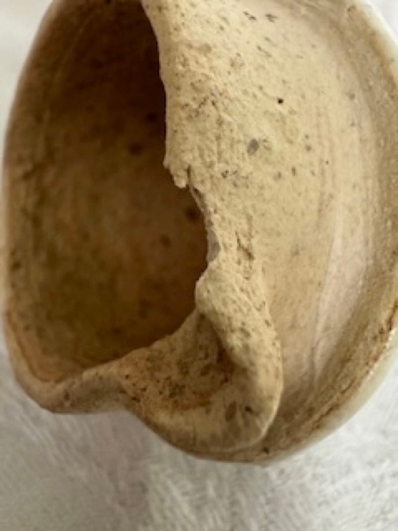 *️⃣難あり❣️作家 民藝 素敵 青葉模様 ポット陶器