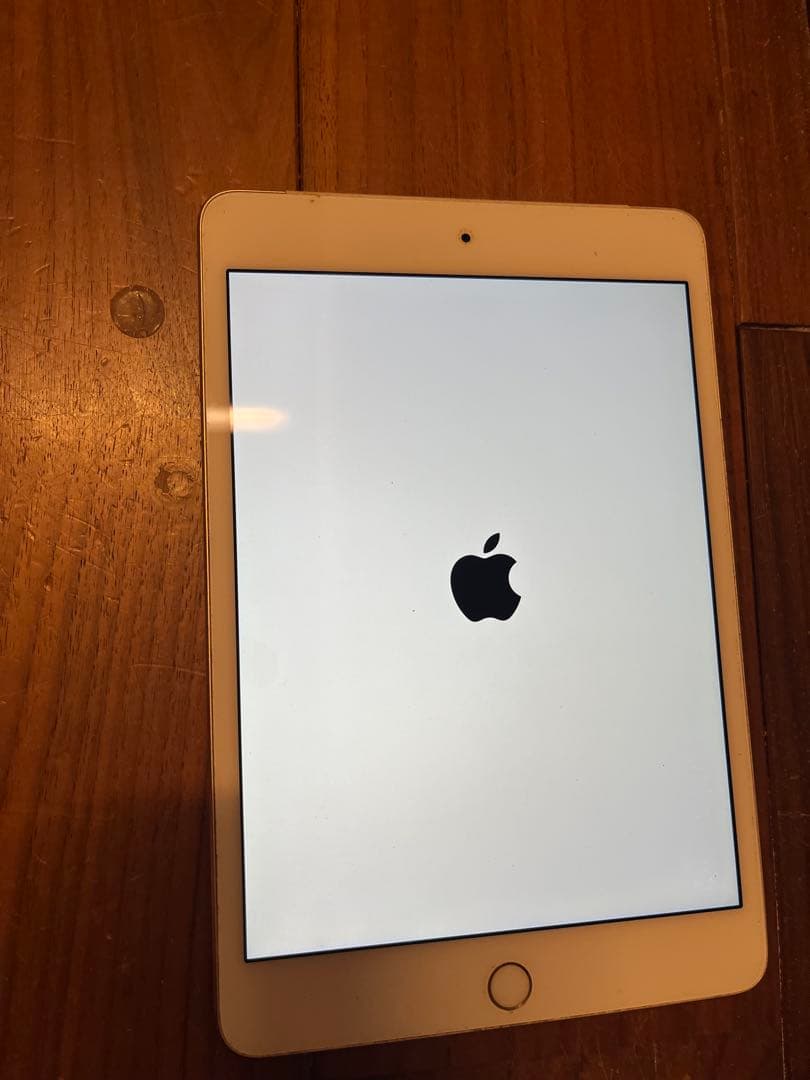 iPad mini4 128GB Wi-Fi＋セルラー 外カメラ不良