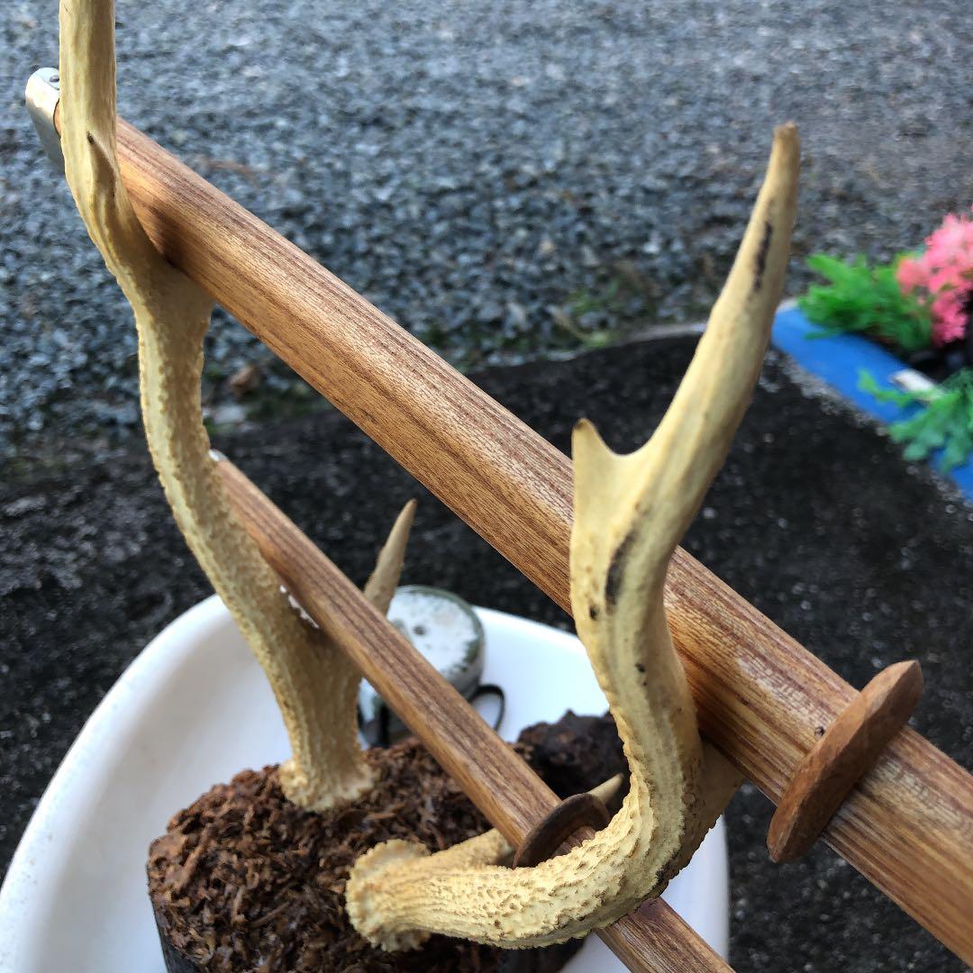 鹿の角の置物