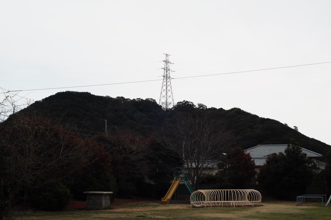 【美品】Carl Zeiss Planar 50mm F1.4 MMJ 055