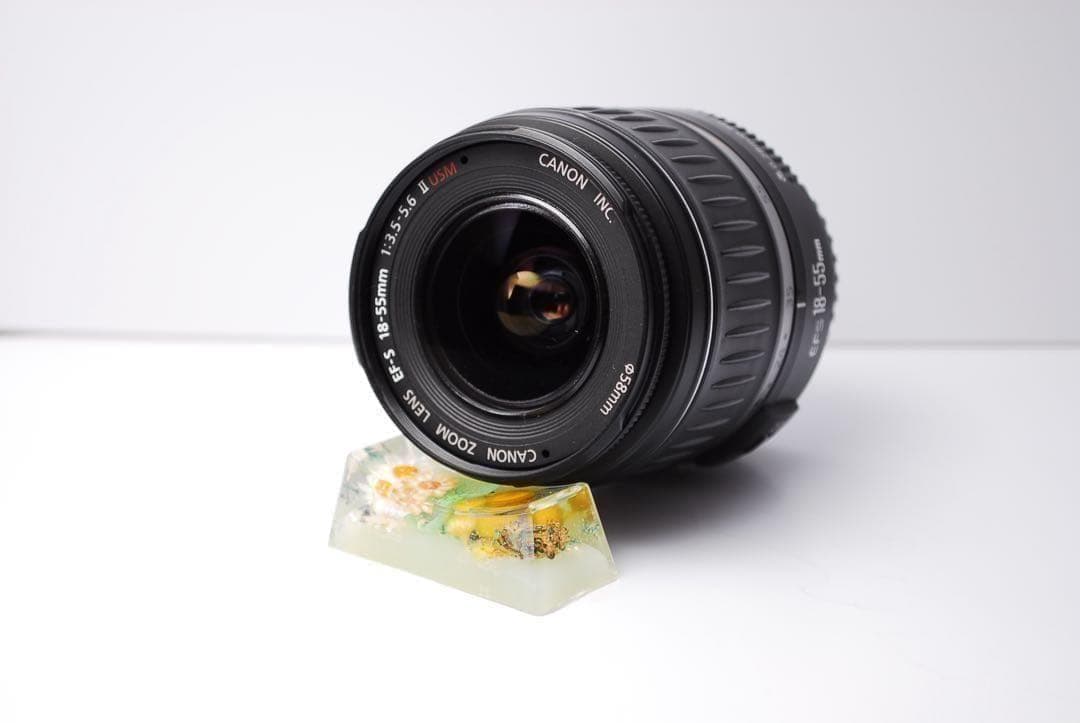 自撮りもできる☘️ Canon kiss X5 初心者　おすすめ　動画可