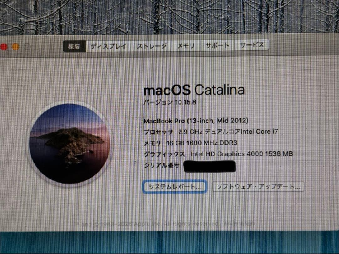 Apple MacBook Pro 13インチ 16GB SSD1TB US