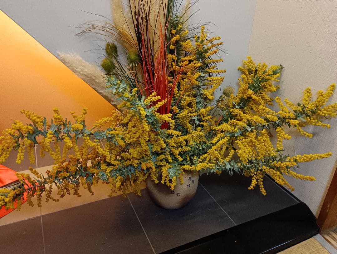 ♥大絶賛の【生花ミモザ】を ご希望のサイズ自由に【3月5日までの限定】掲載