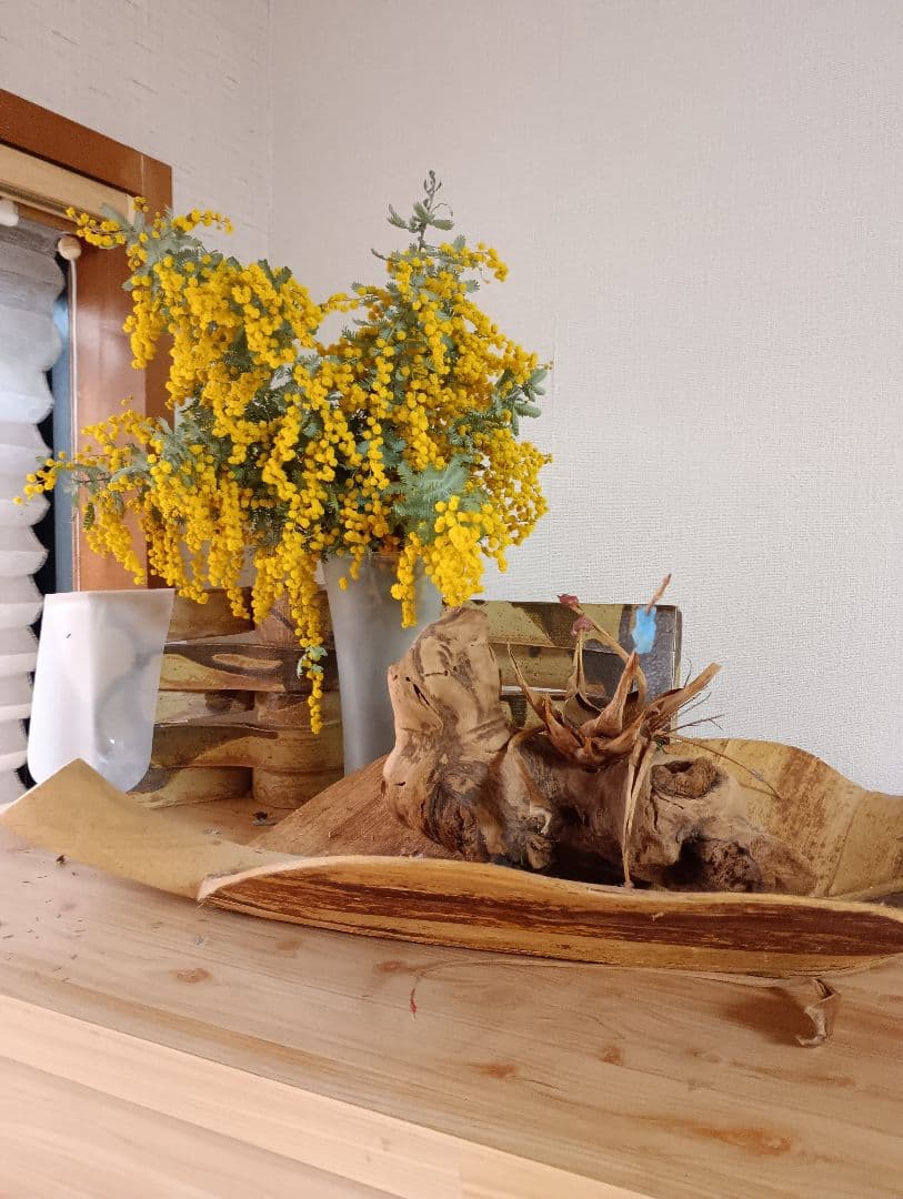 ♥大絶賛の【生花ミモザ】を ご希望のサイズ自由に【3月5日までの限定】掲載