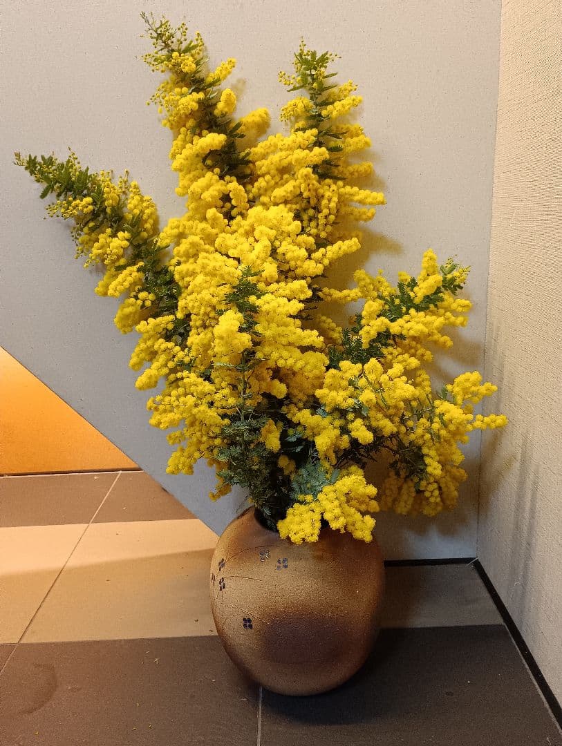 ♥大絶賛の【生花ミモザ】を ご希望のサイズ自由に【3月5日までの限定】掲載