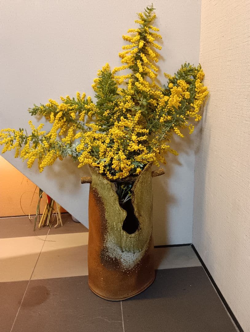 ♥大絶賛の【生花ミモザ】を ご希望のサイズ自由に【3月5日までの限定】掲載