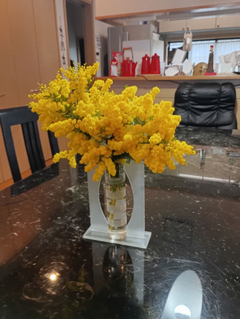 ♥大絶賛の【生花ミモザ】を ご希望のサイズ自由に【3月5日までの限定】掲載