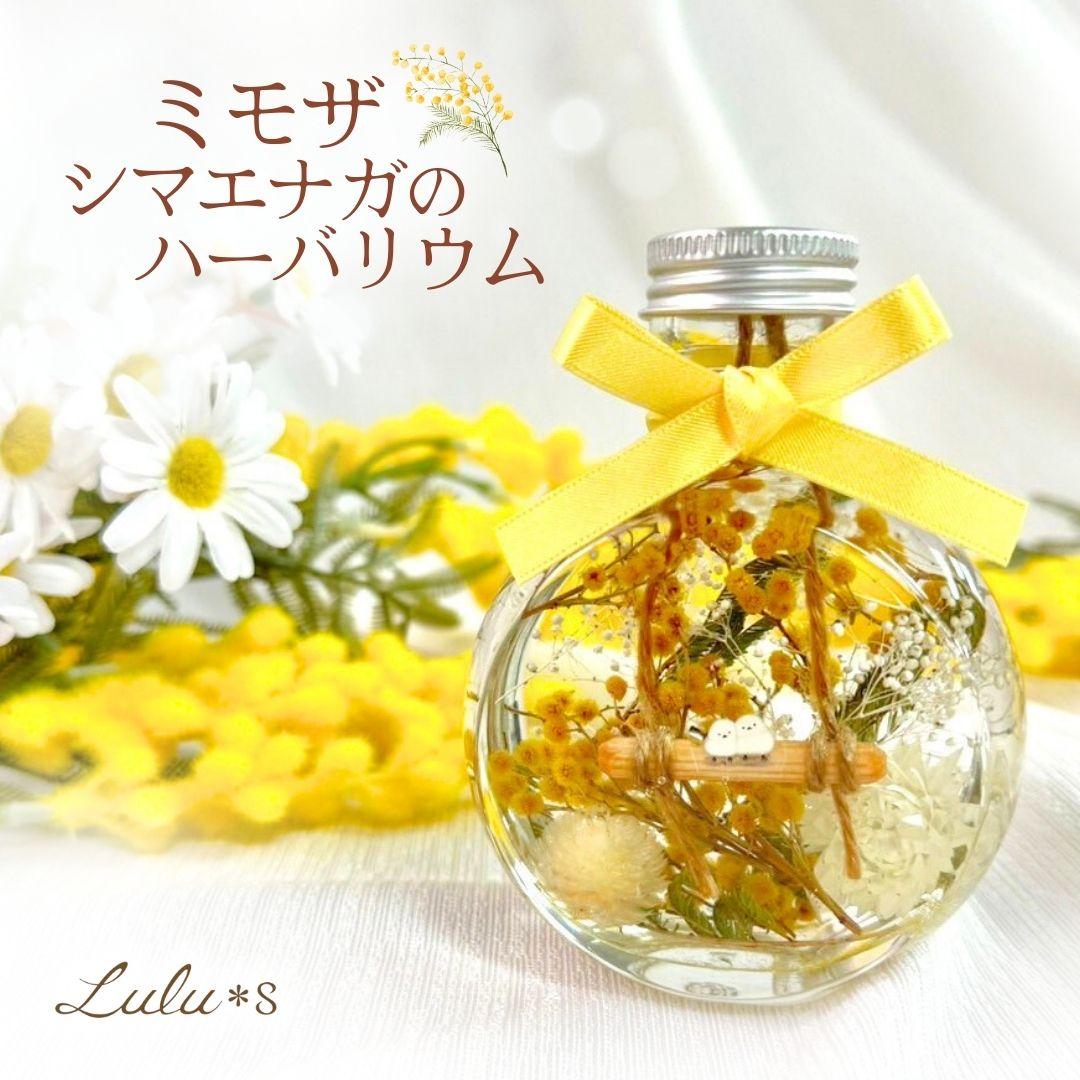 ♥大絶賛の【生花ミモザ】を ご希望のサイズ自由に【3月5日までの限定】掲載