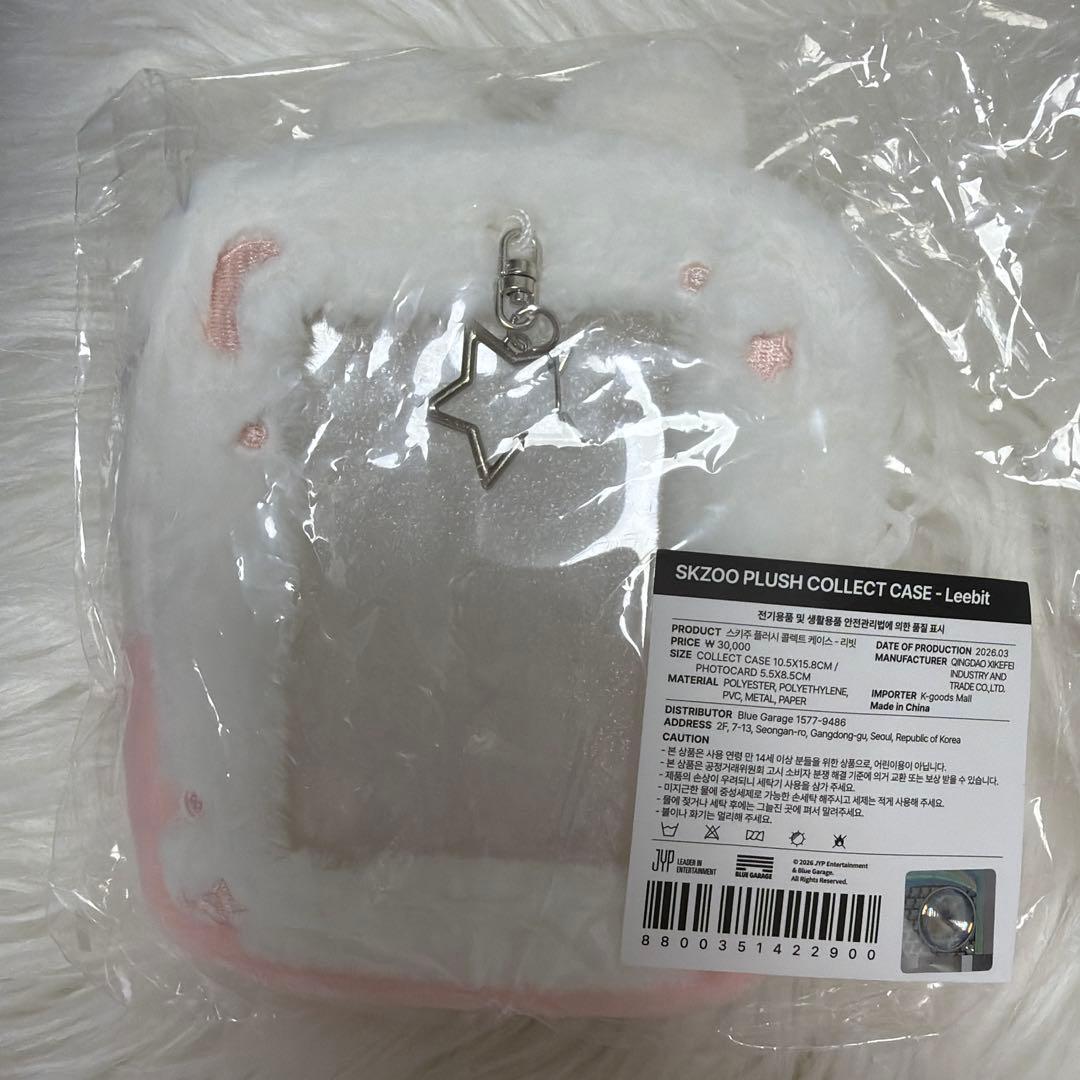 スキズ ペンミ Stray Kids リノ コレクトケース リービット
