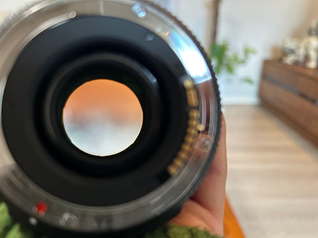 SIGMA 17-50mm F2.8 DC EX HSM レンズセット　キャノン