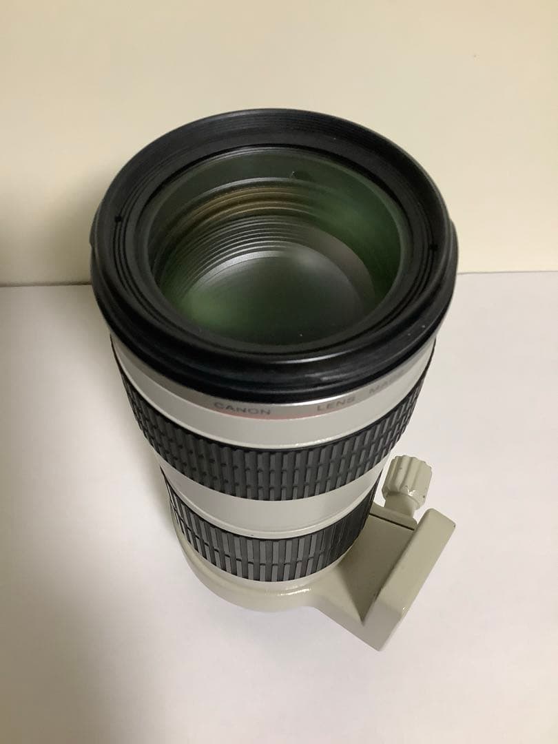 Canon EF 70-200mm f/4L USM ズームレンズ(IS無し)