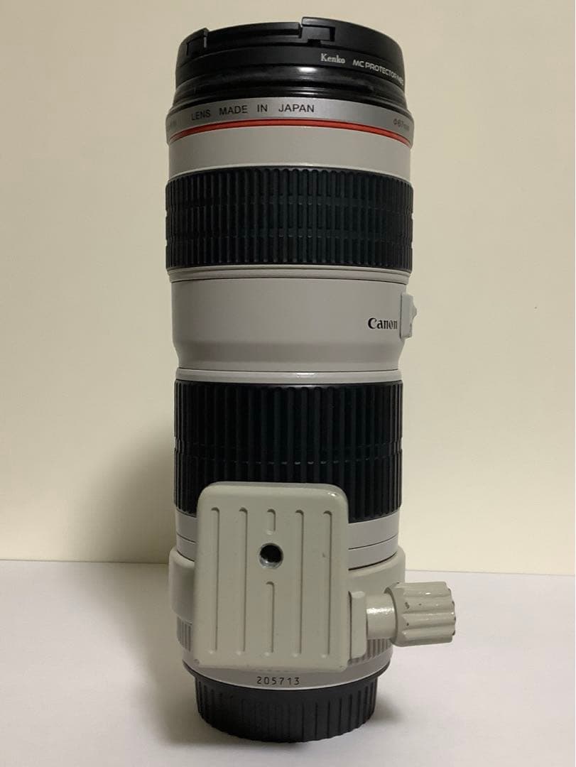 Canon EF 70-200mm f/4L USM ズームレンズ(IS無し)