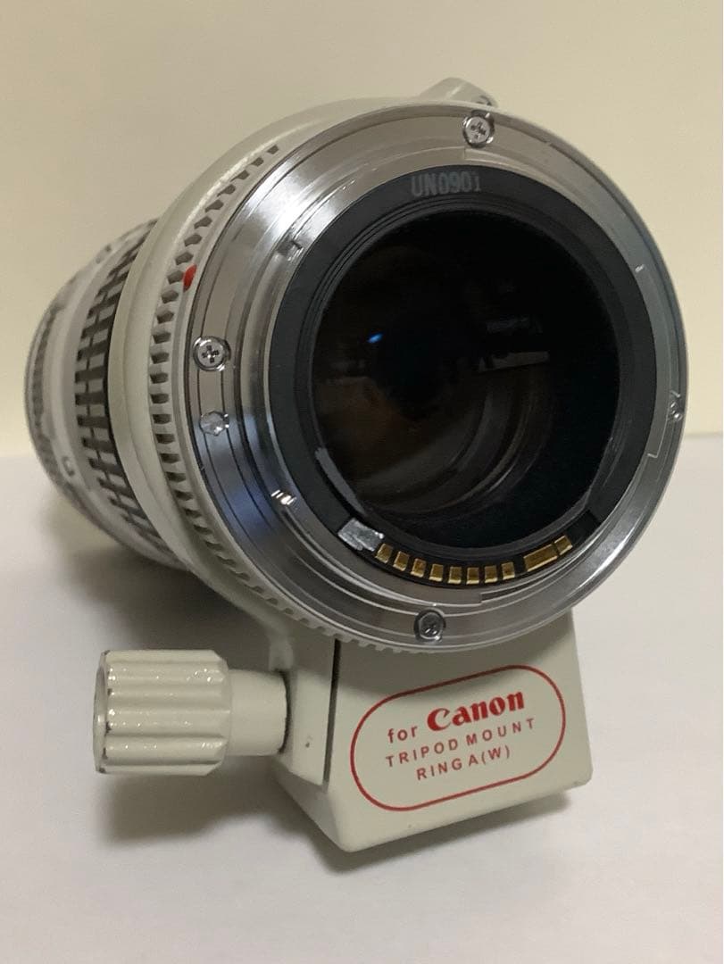 Canon EF 70-200mm f/4L USM ズームレンズ(IS無し)